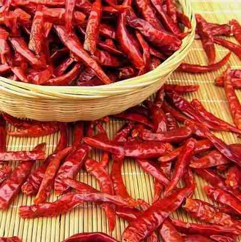 Dry red chill