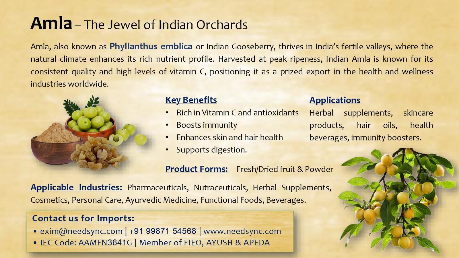 Amla Powder & Fruits