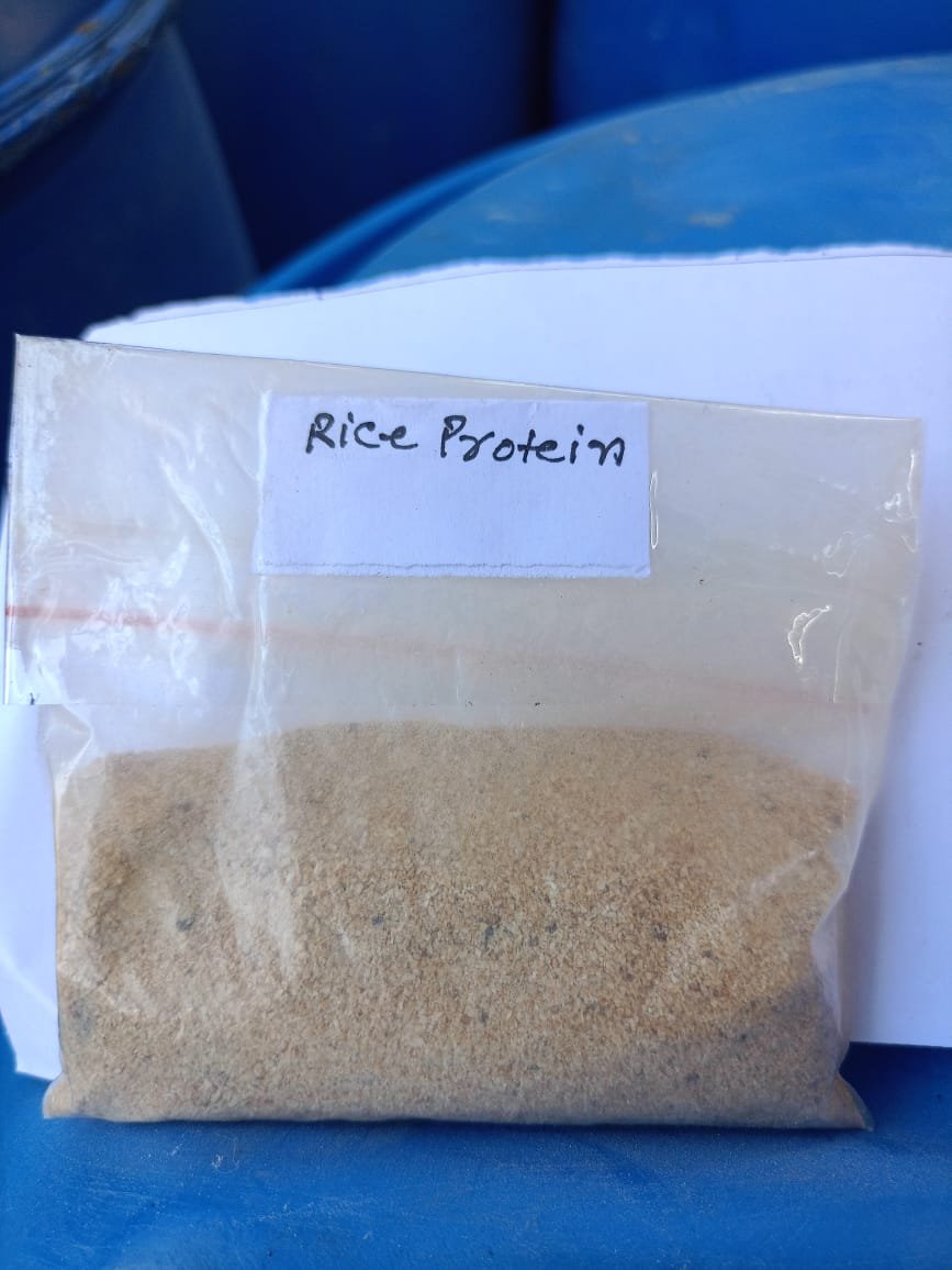 Rice Protein/ Gluteen