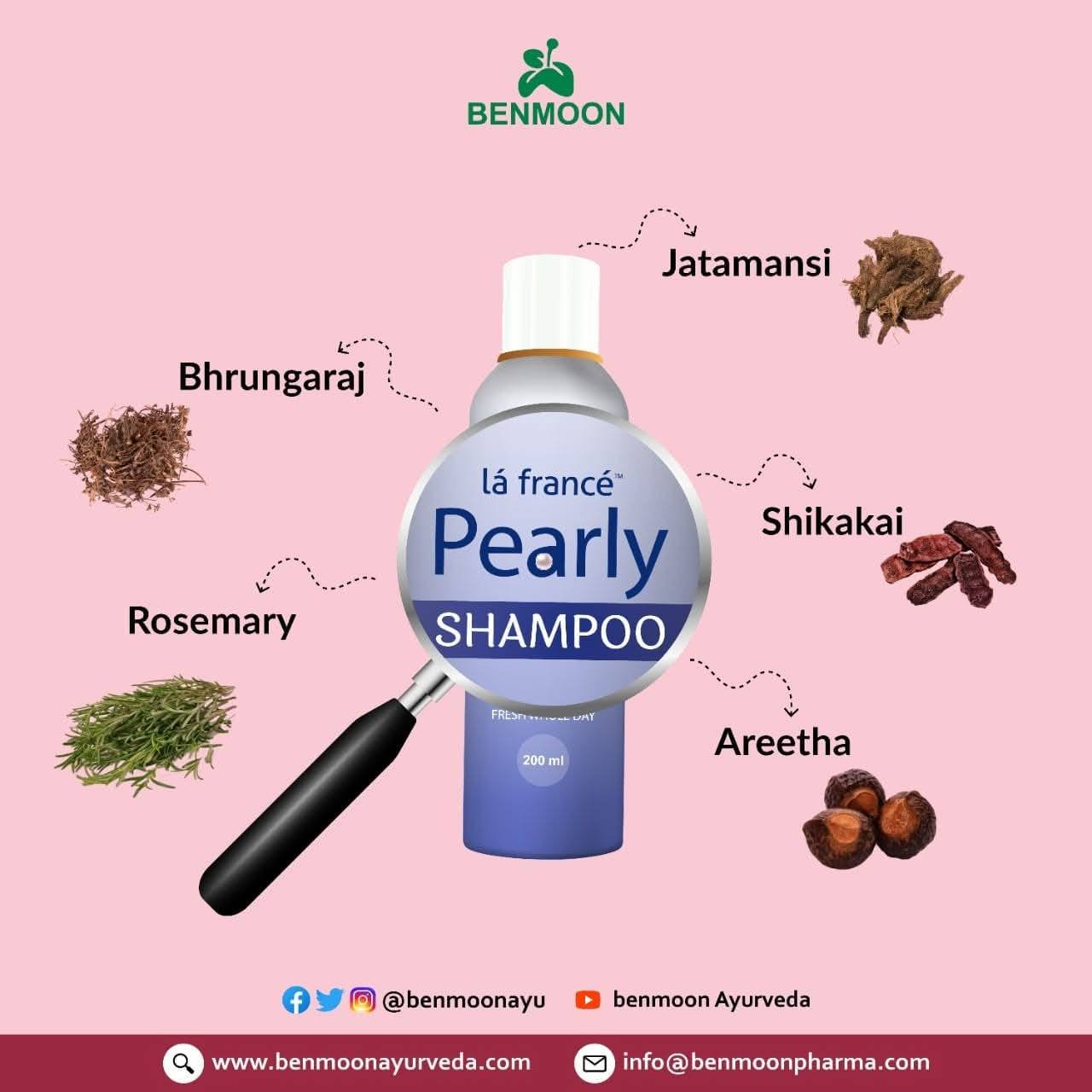 Pearly Ayurveda Hair Wash