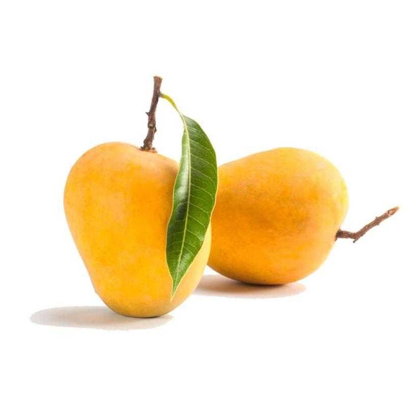 Fresh Mango 