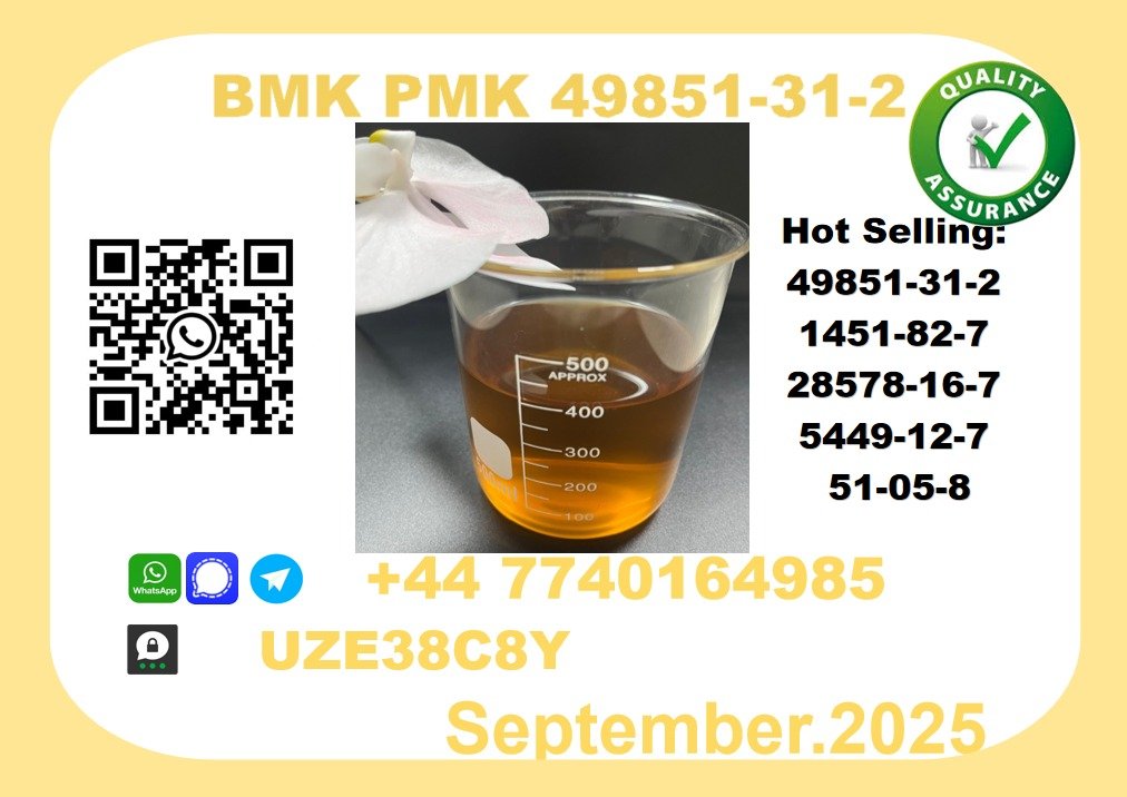  BMK PMK?49851-31-2 Chemical raw materials