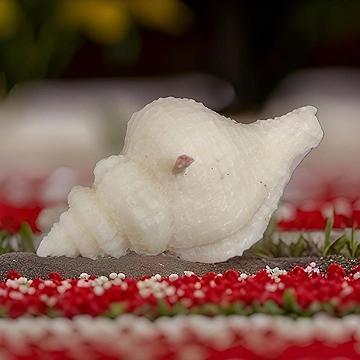 Pure Soya Shell Candle