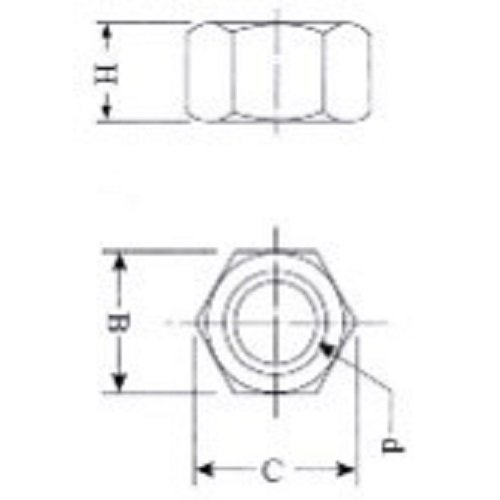 DIN Hex Nut