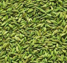 Fennel