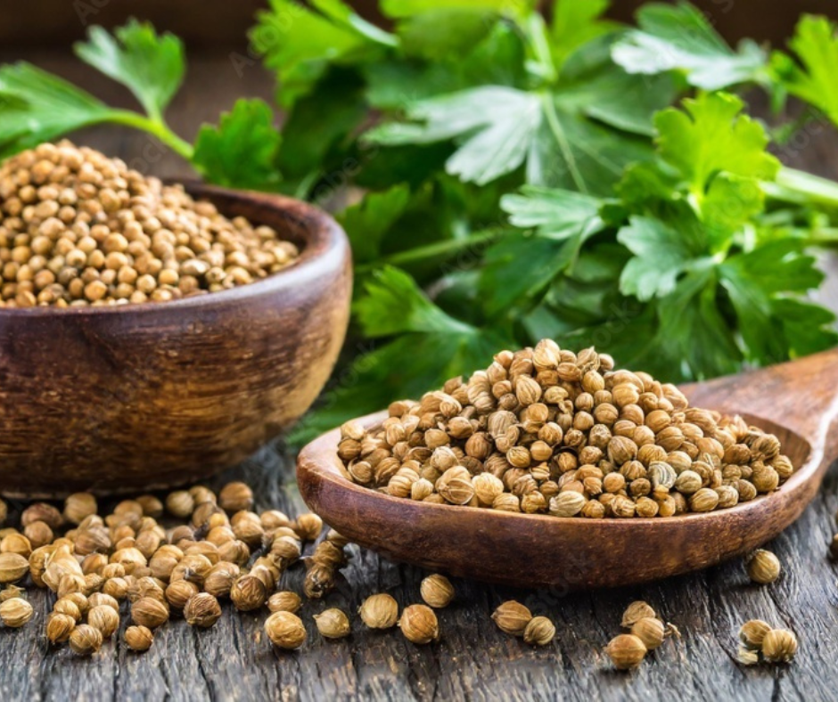 Coriander Seed