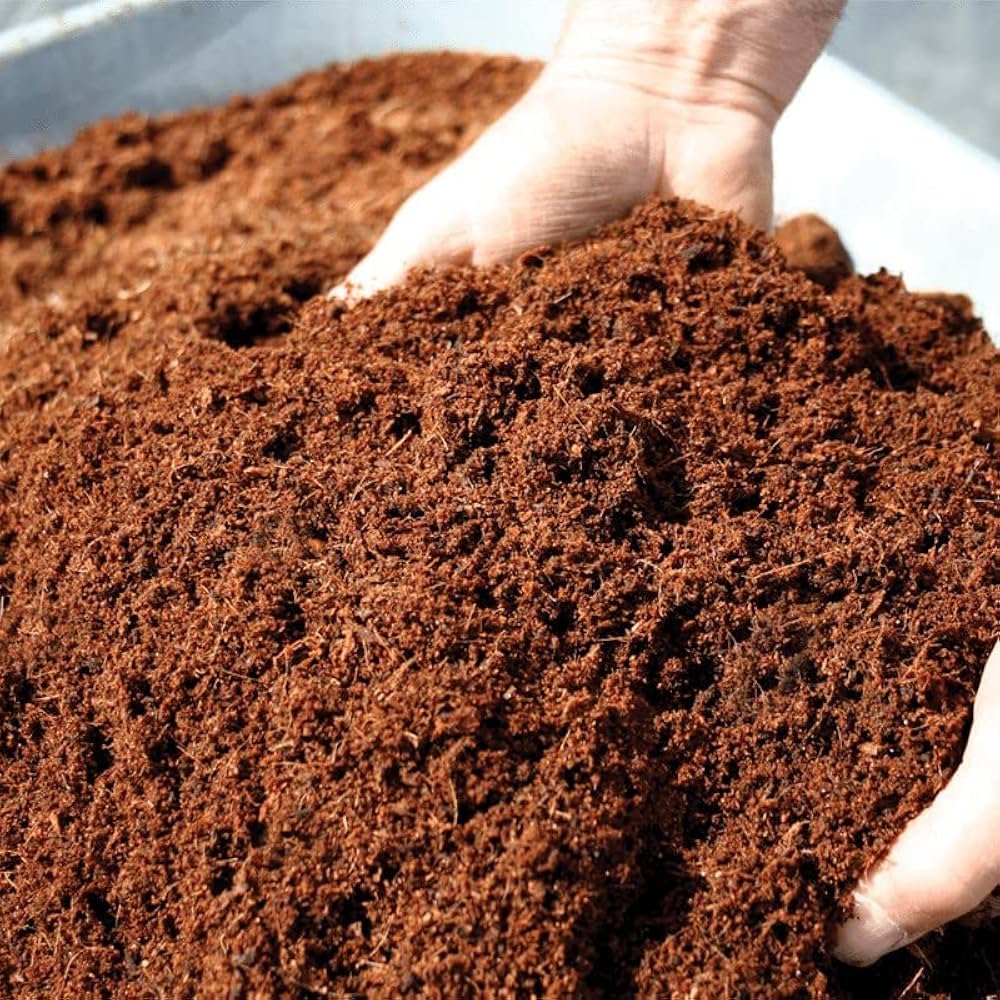 Cocopeat