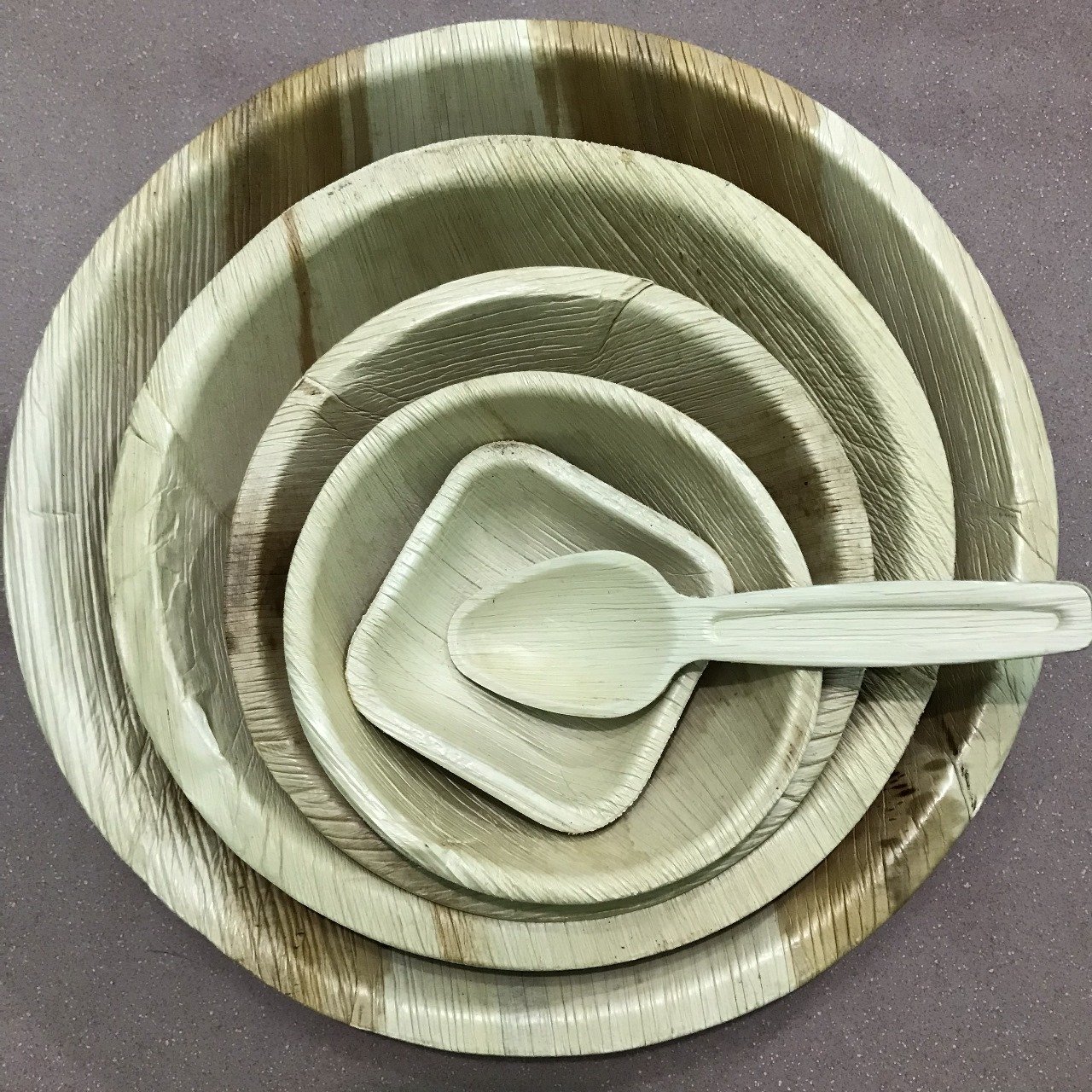 Areca Leaf Plates 