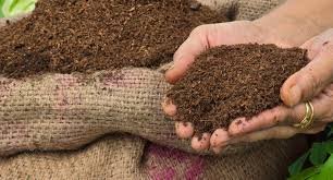 Cocopeat Compost Mix