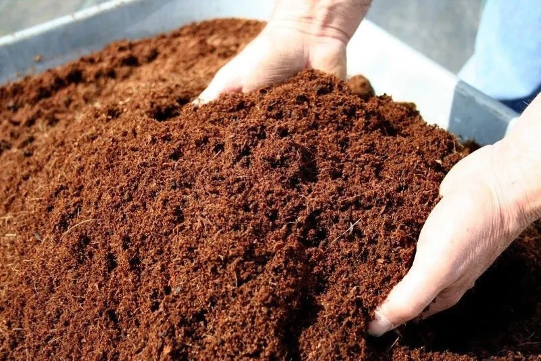Cocopeat Potting Mix