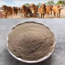 cow Dung powder