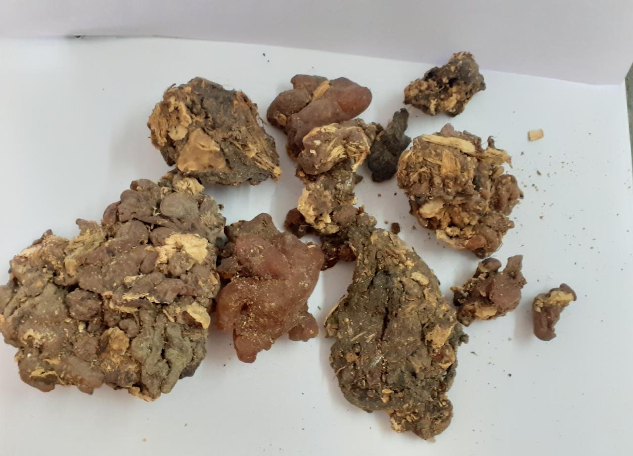 Moringa Gum