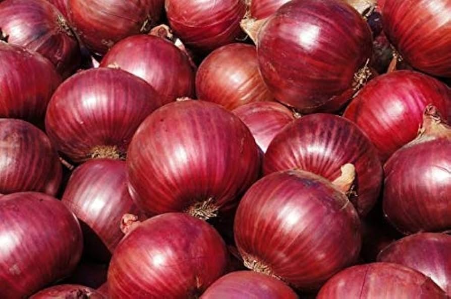 onion