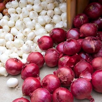 Fresh Onion