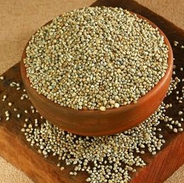 Animal Feed Millet