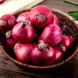 Fresh Onion