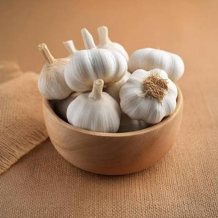 Fresh Garlic