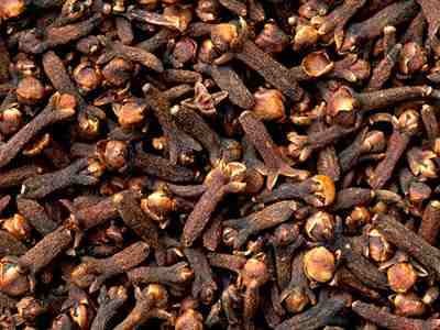 CLOVES