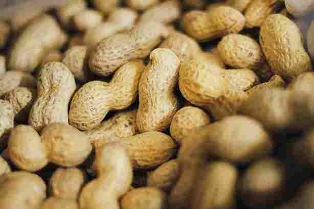 GroundNut
