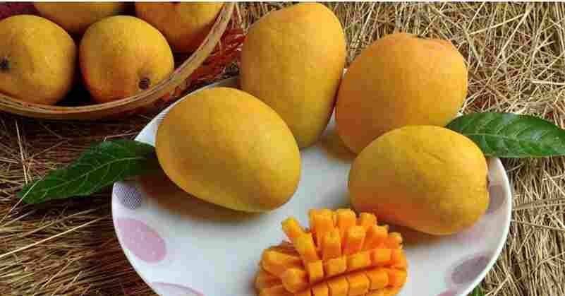 Mango