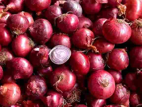 Onion