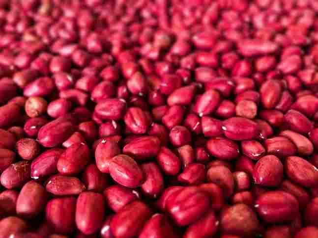 Peanuts