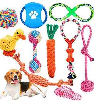Pet Toys