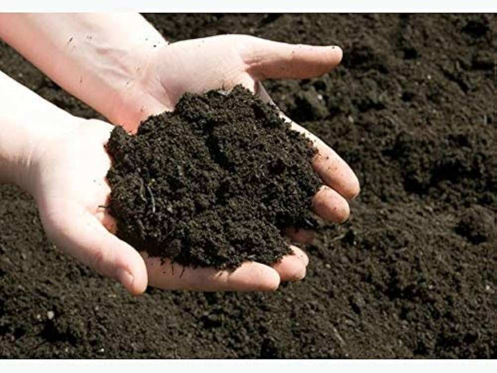 Cow Dung Powder Suppliers In India