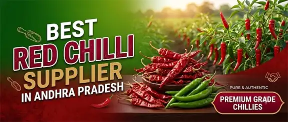 Best Red Chilli Supplier in Andhra Pradesh