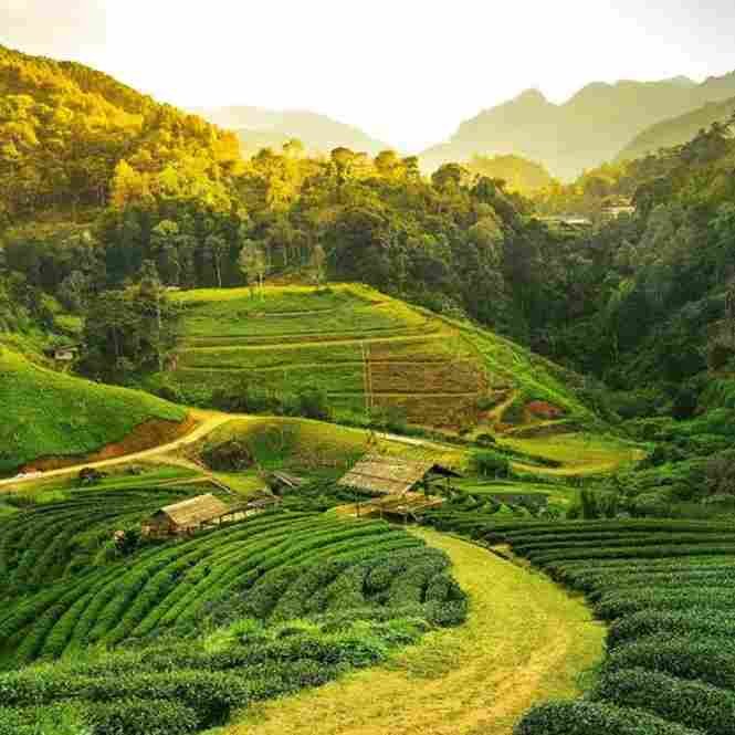 Assam