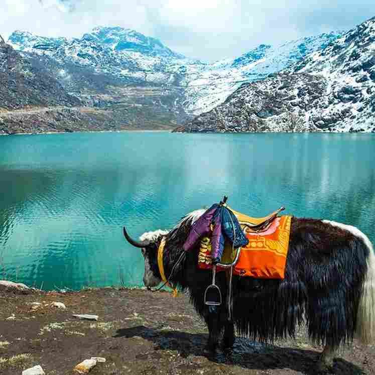Sikkim