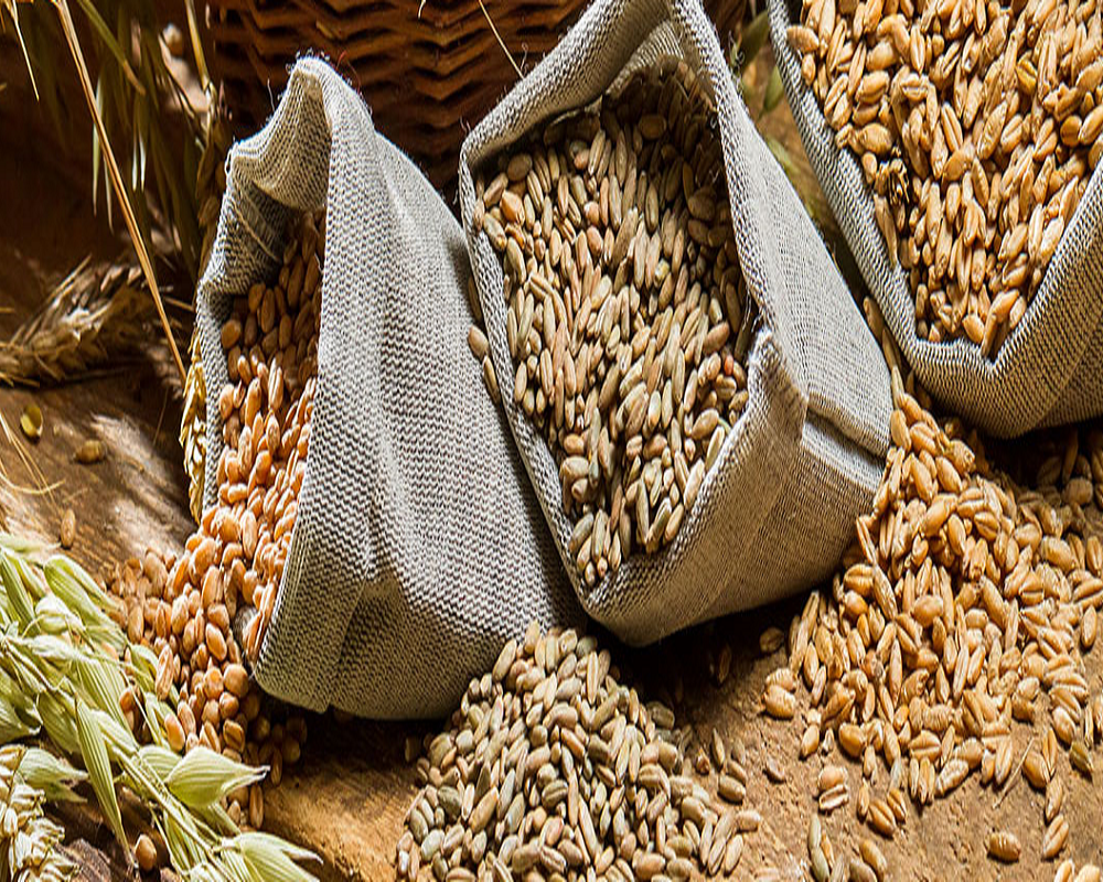 Grains