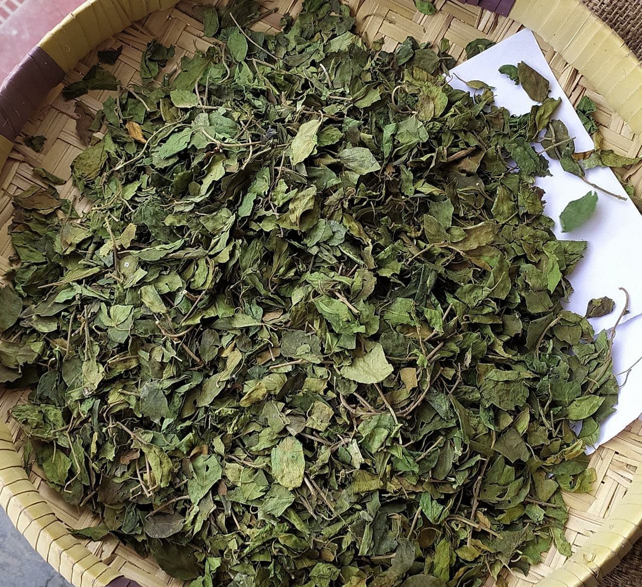 GYMNEMA LEAVES  