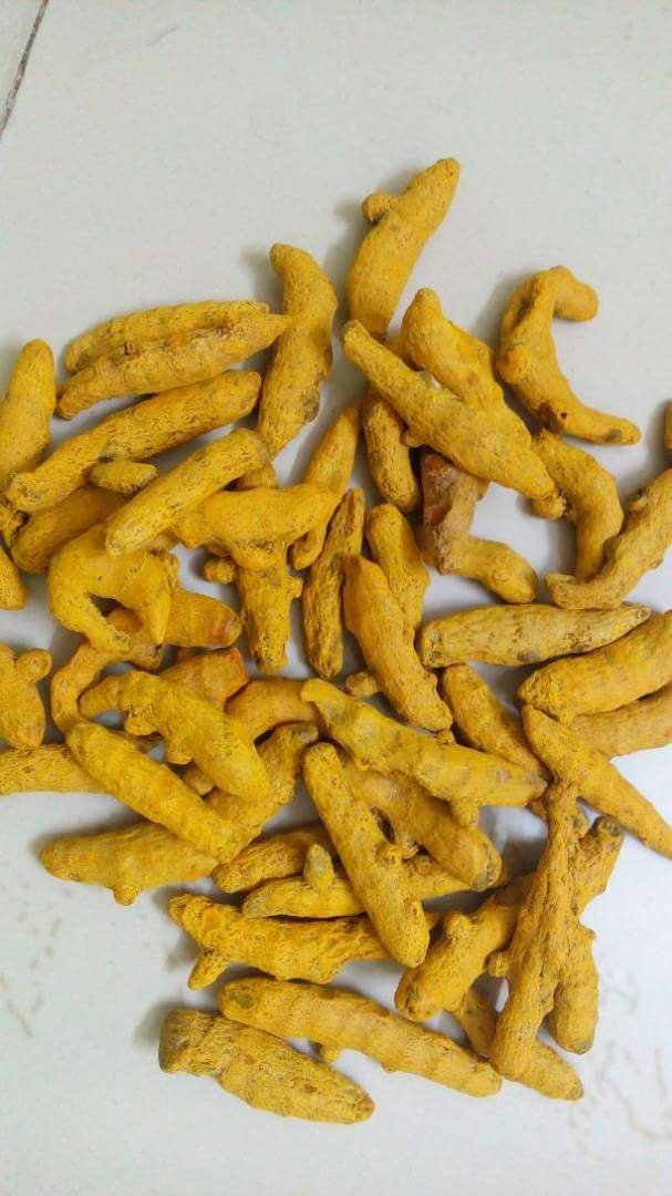 Turmeric Finger