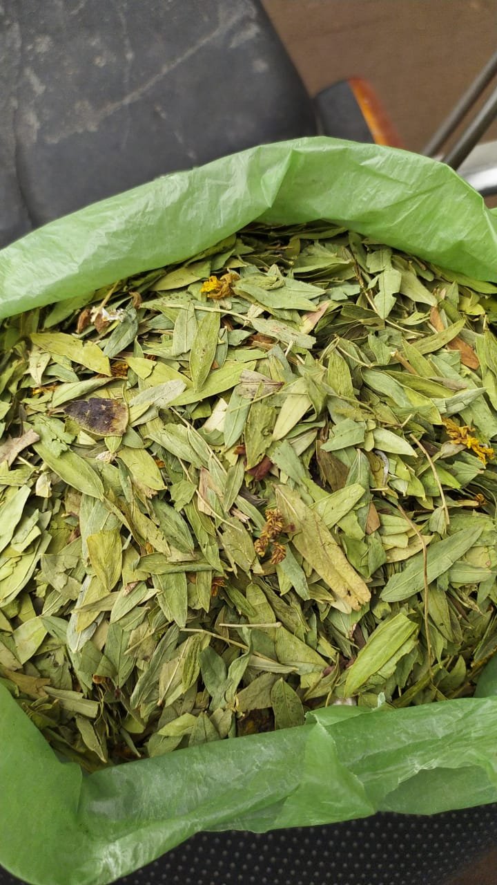 Senna Leaves
