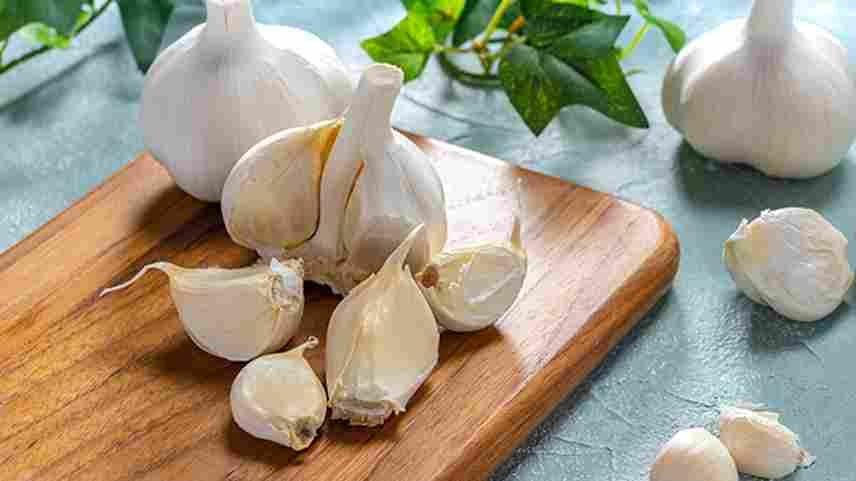  Fresh Garlic