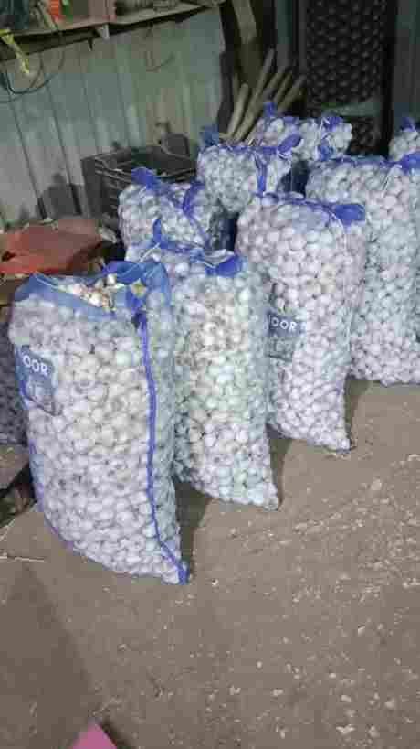 Fresh garlic