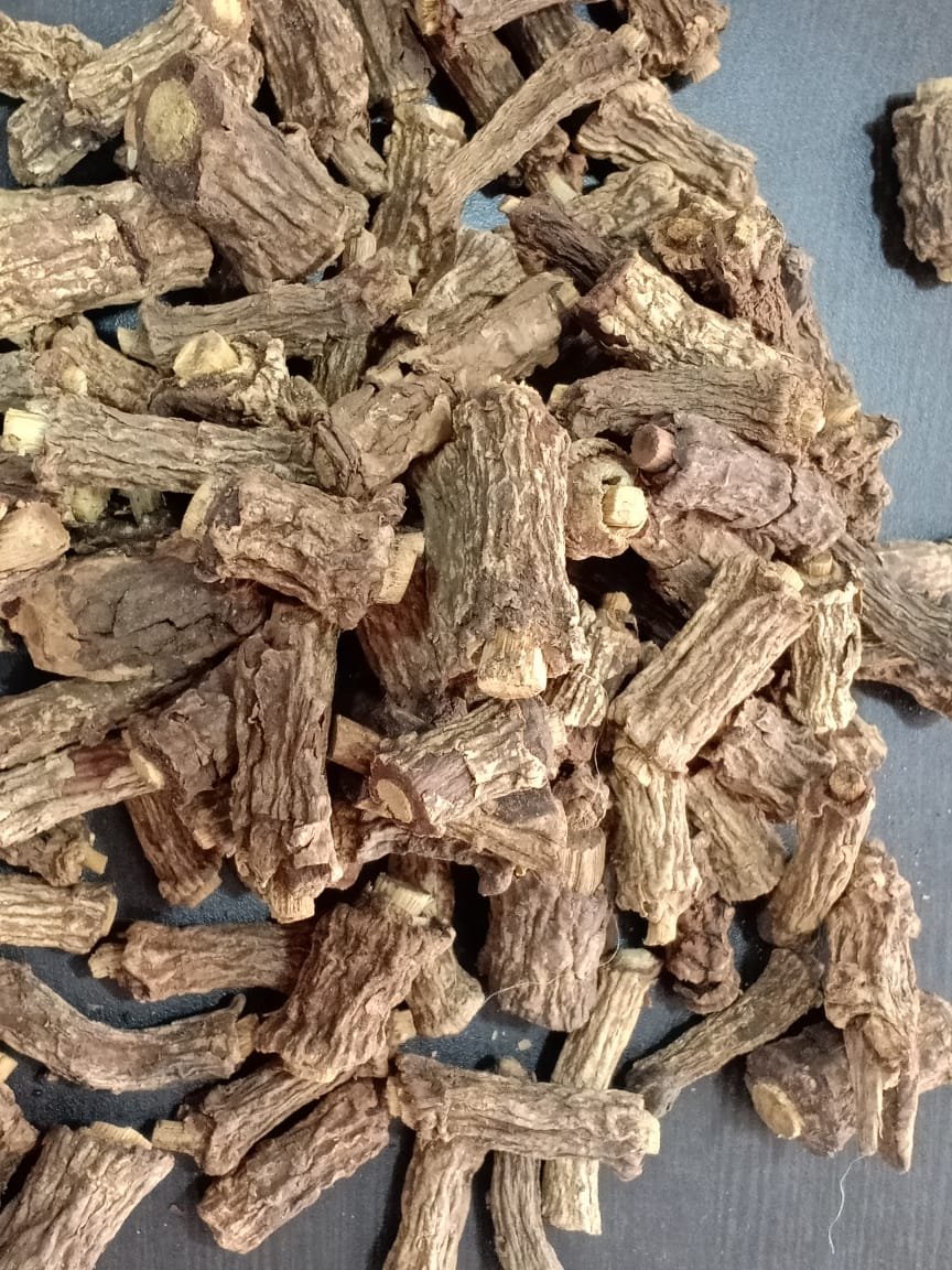 SARSAPARILLA TEA BAGS -Bulk Quantity (TBC)