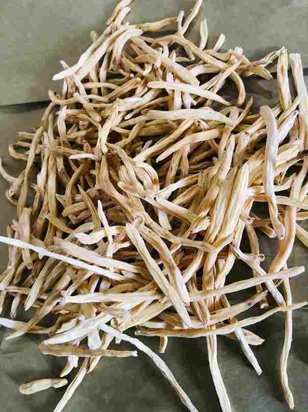 Safed Musli
