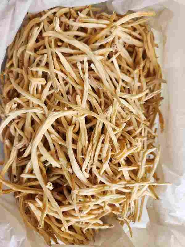Safed Musli
