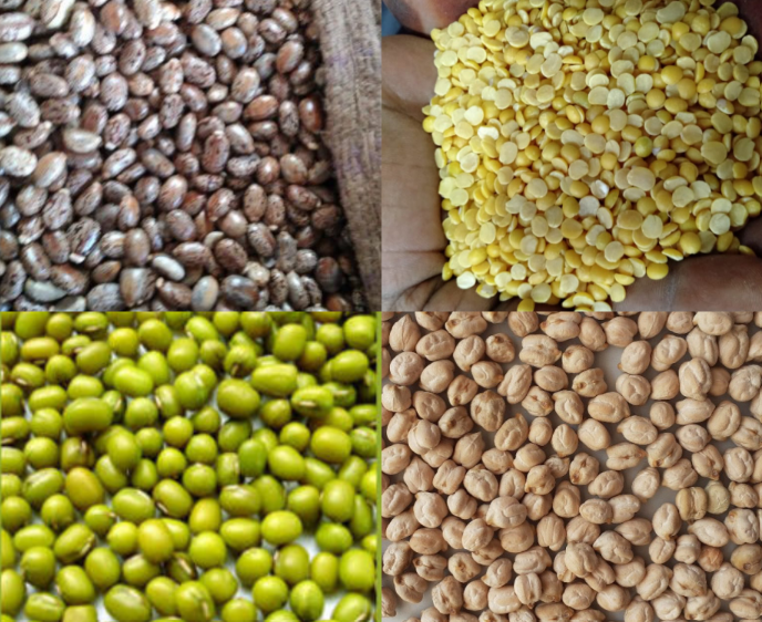 Pulses