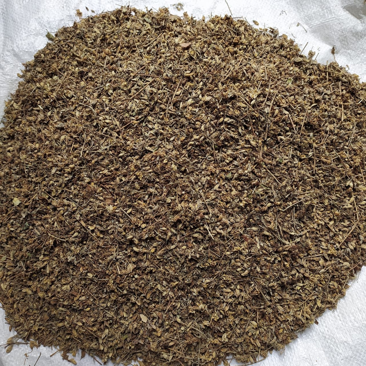 ORGANIC MORINGA dry flower