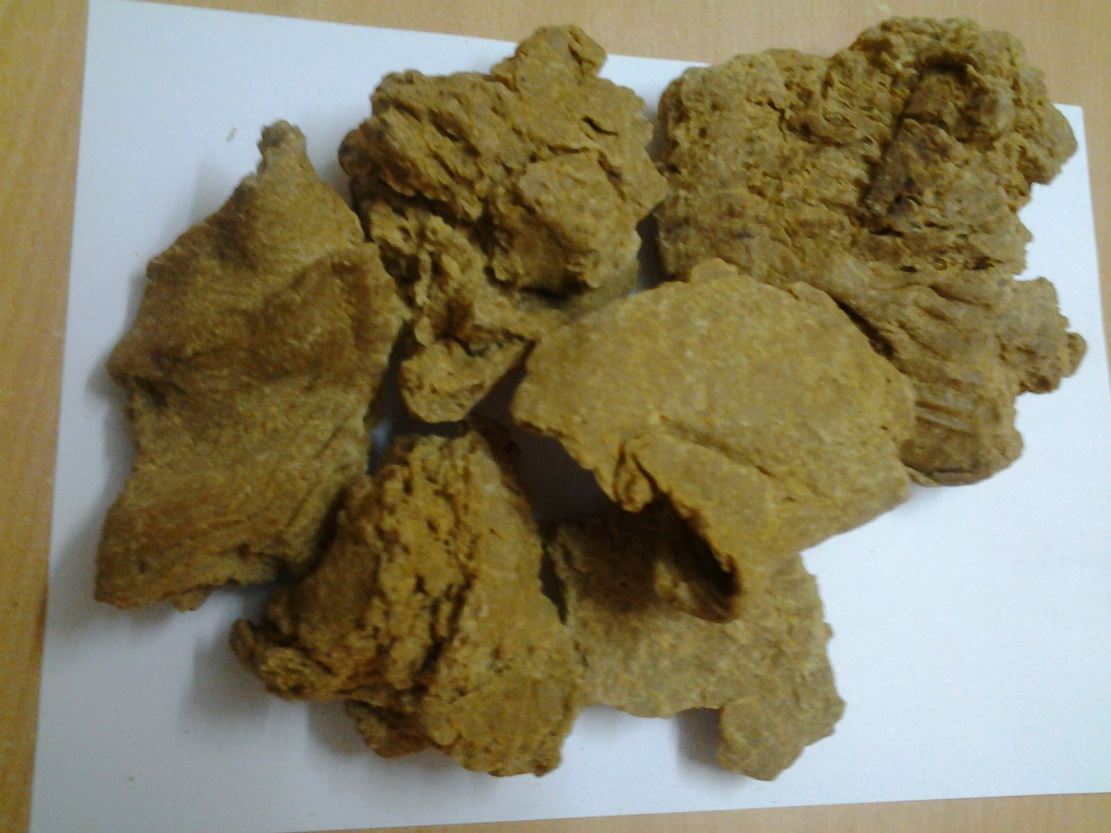 ORGANIC MORINGA seed cake  Exporters from India