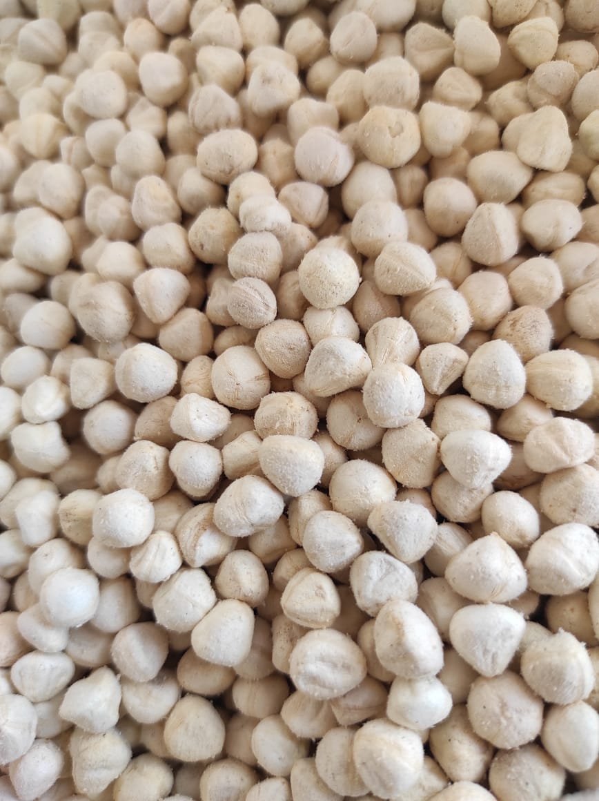 ORGANIC MORINGA kernal