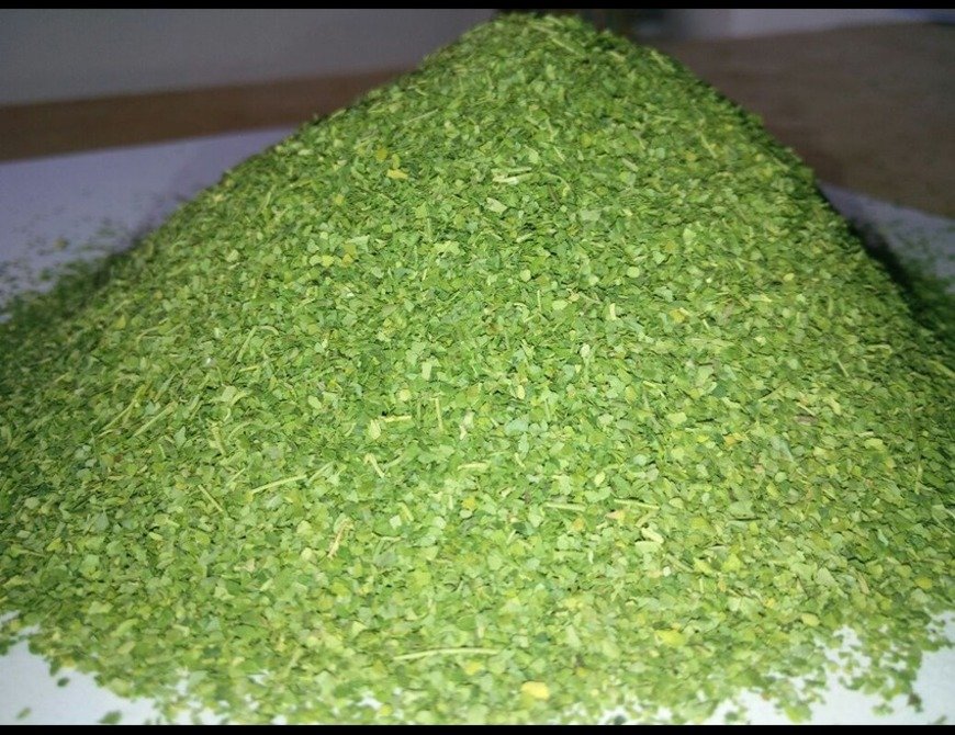  MORINGA TBC LEAVES SUPPLIERS