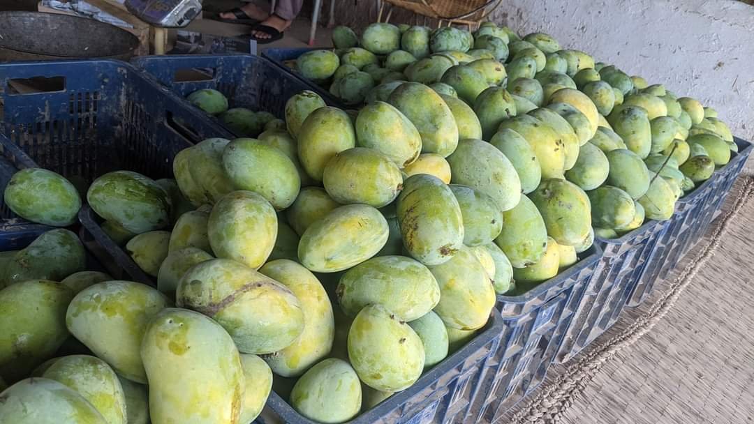 Fresh Mango